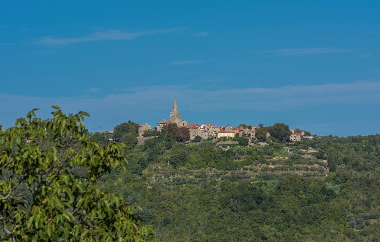 Holiday home Terre Bianche With Private Pool And Whirlpool Buje
